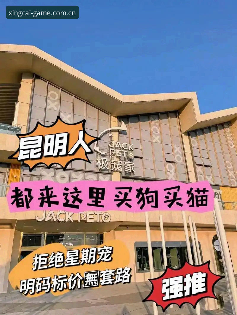 杏彩体育一站式服务 vs 其他平台：新手选择哪个更靠谱？